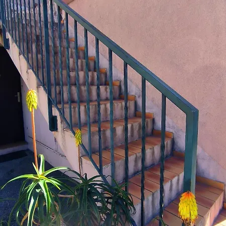 La Madrague Cote D'azur *